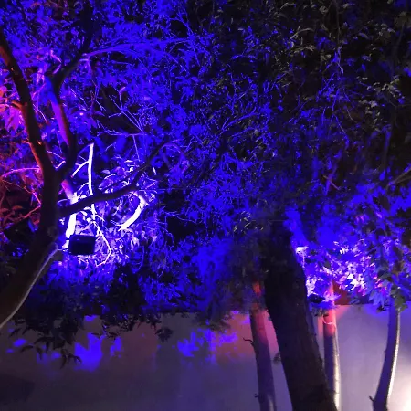 Oda ve Kahvaltı Manastır 3*